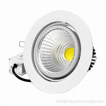 30W COB LED Downlight (360 degrees rotatable)